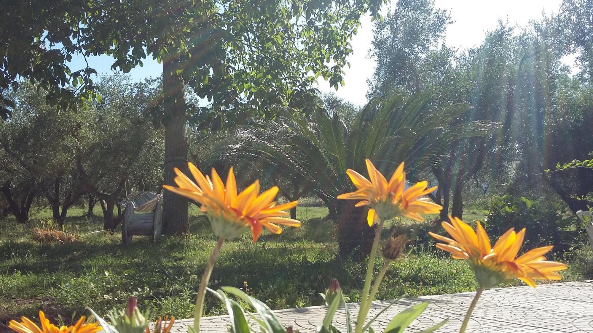 Agriturismo Santa Maria Marta Exteriér fotografie