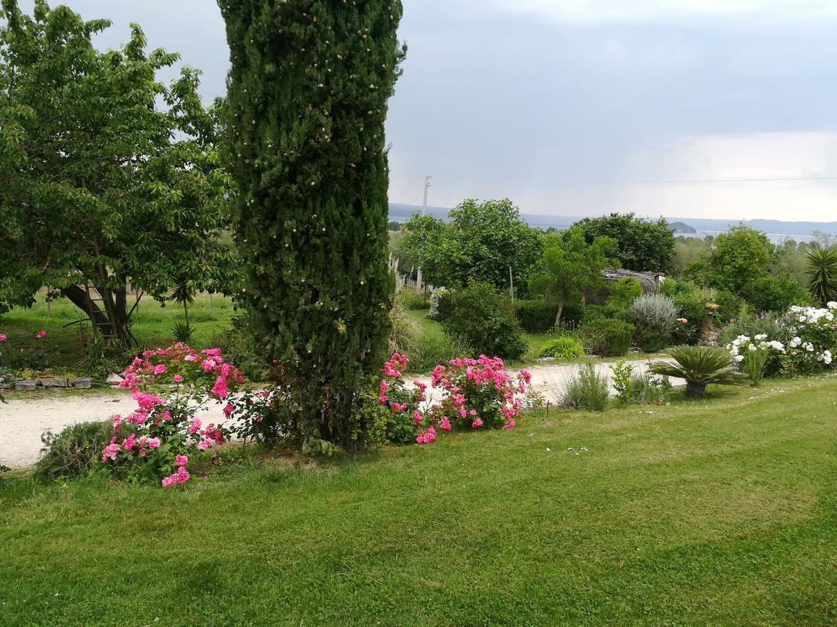Agriturismo Santa Maria Marta Exteriér fotografie
